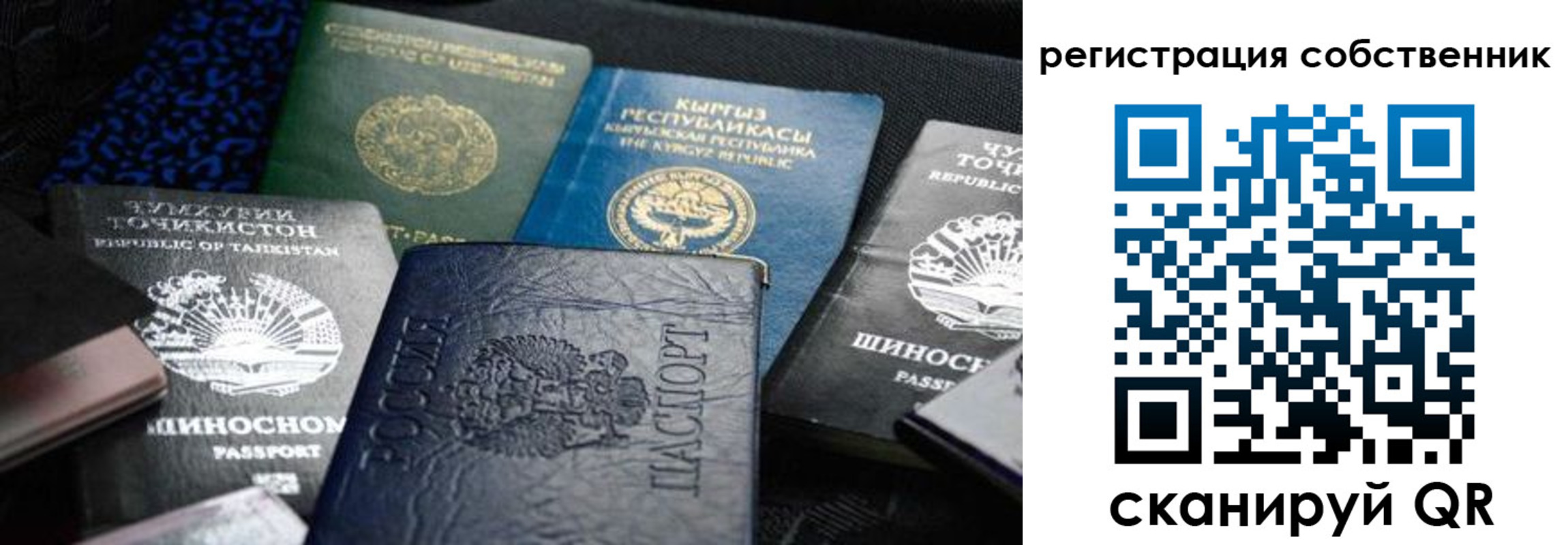 временная регистрация для школы в Череповце